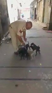 274K views · 2.7K reactions | Visual of a police officer feeding milk and biscuits to stray dogs who are not getting any food due to lockdown. Via: Tarun Madhok (Facebook) #Dogs #Food #Covid19 #CoronaVirus | The North-Eastern Chronicle | Facebook