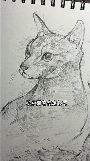 猫ちゃんを安定して描けるようになった描き方🐱 #イラスト #イラスト練習 #お絵描き #sketch #drawing