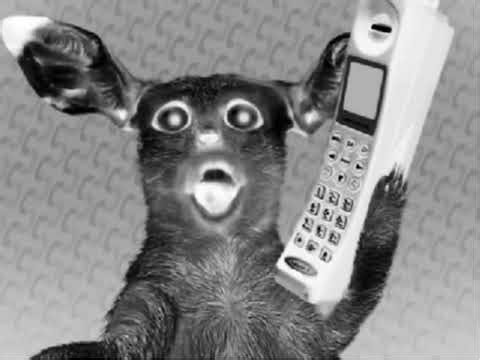 ANIMATED SPOOF MUSIC VIDEO NUMA CAT R,&W REVERSE