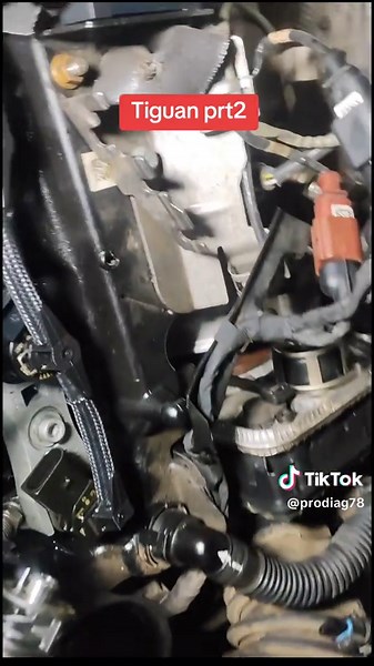 #dz #vw #algeria #الشعب_الصيني_ماله_حل😂😂 #tik_tok #capcut #audi #libya🇱🇾 #tunisia🇹🇳 #maroc