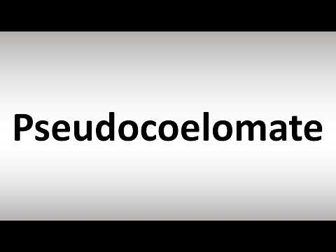How to Pronounce Pseudocoelomate