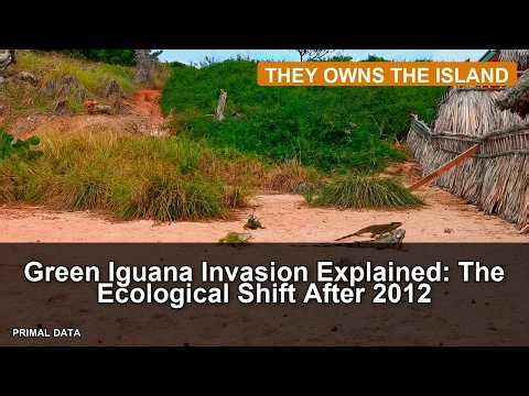Green Iguana Invasion Explained: The Ecological Shift After 2012