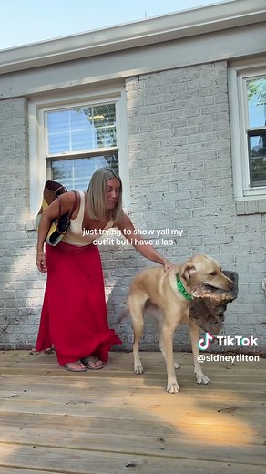 Showing My Outfit With a Labrador Retriever | Funny Dog Moment