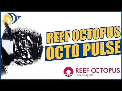 Octo Pulse Pumps by Reef Octopus: What YOU Need to Know