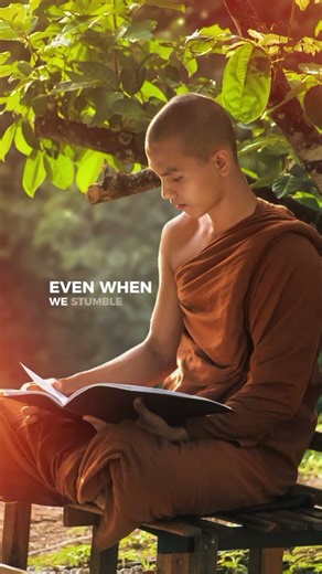 You Can Fall 7 Times And Still win