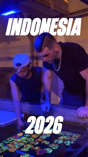 SoFlow Rubio's Corals on Instagram: "I don’t think people understand what a trip like this really means… For a month I was away from home, moving from island to island, waking up before the sun, going to sleep exhausted… Going DIVING AT NIGHTTTT, all chasing one thing: finding corals that will truly make a difference FOR YOU. Not just something pretty for a photo, video or reels on Insta, but pieces that will open in your systems. That your customers will TRUST, that will keep them coming back t