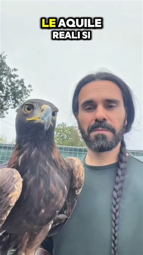 2.1K views · 139 reactions | Prova il nostro IA agent al +393928534531 watsapp! www.innovativetechnologysrl.it Innovative technology - Unit.Link Per preventivi e risposte veloci scrivi tramite watapp al +393928534531 #InnovativeTechnology #MOV #SistemaMOV #Disabituante #AllontanamentoVolatili #DissuasionePiccioni #StopPiccioni #NoPiccioni #AntiPiccioni #UccelliInfestanti | Falcong | Facebook