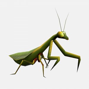 Animated Mantis - 3D Model by cg-bob