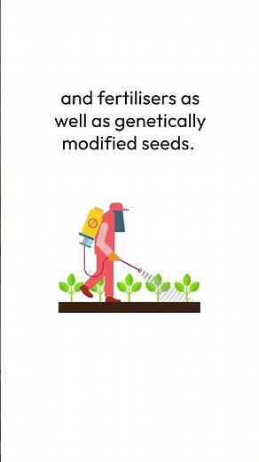 Why choose organic cotton?