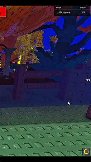 261K views · 6.7K reactions | how to get Raccoon tutorial #growagarden #roblox #candyblossom #fyp #gag #summerupdate #seed #new #summerharvest | Grow a garden | Facebook