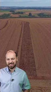 Soybean farmers who do this when selling their products lose money!