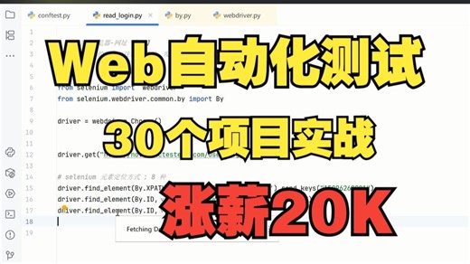 2025最新的Web自动化测试教程，30个项目实战，3天练完，涨薪20K！