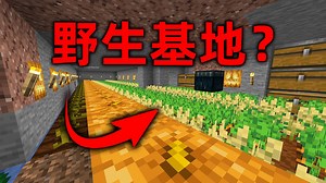 我的世界2B2T服务器：是老版本的野生基地！直接零元购！