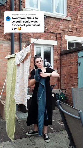 Penny the Pigeon on TikTok