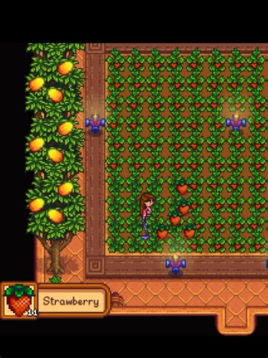 Growing Favorite Fruits in Stardew Valley Greenhouse