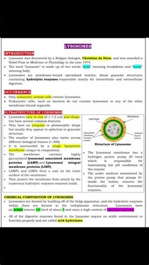 lysosomes: structure and function of cell, what is lysosome ? #lysosome #cell #cellorganelle #viral