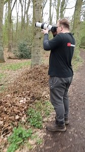 Finding very rare UK animal! The Lesser Spotted Woodpecker is one of the hardest birds to see in the UK because of their size and population. According to the British Trust for Ornithology, there are only 600 pairs in here in the UK. The best chance you have of seeing them is in the early spring before all the trees get their leaves! | Wildlife With Cookie