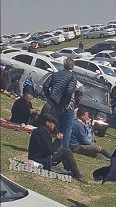 25 марта 2026 г.