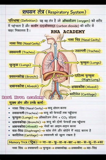 biology short notes