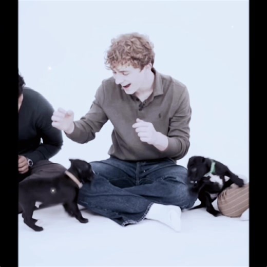 #walkerscobell | happy bday walker !!🥹/ bro reached unc status - - —tags: #percyjackson #fyp #walkerscobelledit #percyjacksonandtheolympians — walker scobell | walker scobell birthday | walker scobell 17th birthday | birthday edit audios | Walker Scobell edit | Percy Jackson | percy Jackson and the Olympians | series | Percy series | percyseries | stranger things | conformity gate | stranger things theories | Annabeth chase | Grover underwood | Charlie diemer | Dior goodjohn | Tyson | Clarisse 