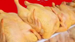 ¡Haz tu Navidad aún más especial con Productora y Comercializadora JP! 🌟 Disfruta de increíbles precios mientras apoyas a emprendedores destacados en nuestra vitrina comercial. ¡Pide tu cena navideña ahora! 🍽️ Solicita su portafolio especial para Navidad y eventos especiales en WhatsApp al 3107561829 🤩 #MásOportunidadesParaTodos 🎄✨ | Gobernación de Norte de Santander