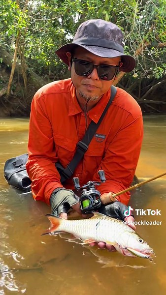 Memancing demi kebahagiaan!! Itu lah mengapa saya memancing, kombonasi suasana, rakan ii, dan peralatan adalah eliment yang akan menghasilkan kebahagian kerana hasil tangkapan kita tidak ada pilihan memastikan ia milik kita.. . Daiwa 23 Purelist 46UL Daiwa Alphas Air 8.5 25 Daiwa Silver Creek 48s Daiwa JBraid 10lb Daiwa JThread 16lb Setup dan size hasil yang setara akan memberi impak besar ketika perlawanan berlangsung!! Terminal Ttackle by @daiwasportsm.os Guide by @Idy Mhmd #daiwa #daiwamalays