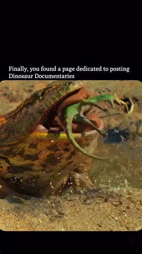 ⏰ 𝗙𝗼𝗹𝗹𝗼𝘄 𝘁𝗼 𝗴𝗼 𝗯𝗮𝗰𝗸 𝗶𝗻 𝘁𝗶𝗺𝗲 on Instagram: "Seventy million years ago, danger didn’t always come from giant predators. Sometimes, it was waiting silently in the mud. A devil frog lies half-buried at the edge of a pond. When a baby dinosaur wanders too close— it explodes from the water and swallows it in one brutal snap. The mother can only watch as one of her young disappears. The rest hurry behind her, terrified. But how can a frog pull off something like that? Not far away, 