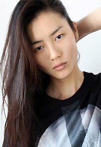 Liu Wen - Alchetron, The Free Social Encyclopedia