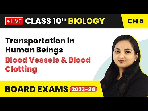 Transportation in Human Beings - Blood Vessels & Blood Clotting | Class 10 Biology Chapter 5 (LIVE)