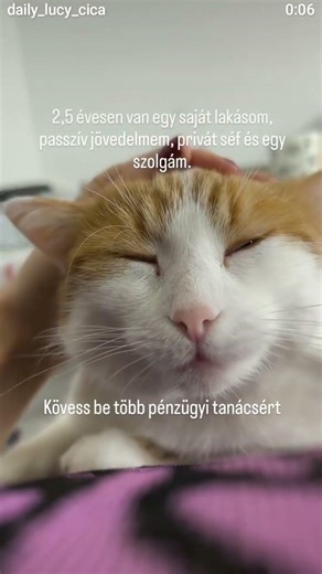 Pénzügyi tanácsok neked