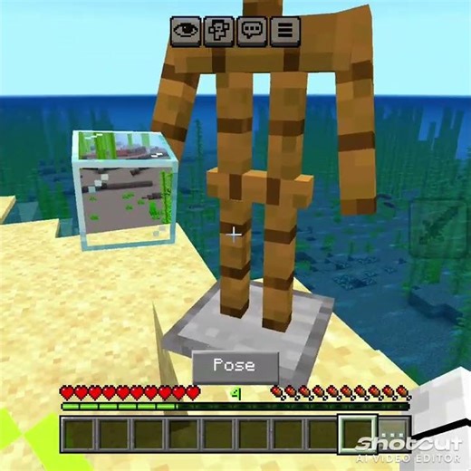 #minecraft x-ray with glass (NO MODE)💀