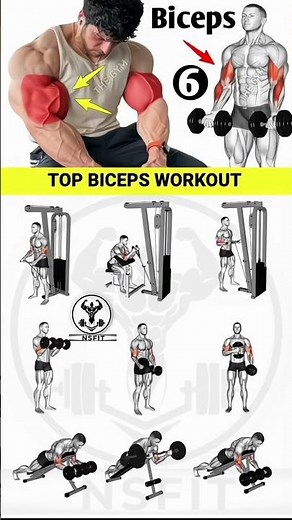 BICEPS WORKOUT | biceps workout at gym | biceps workout with dumbbells