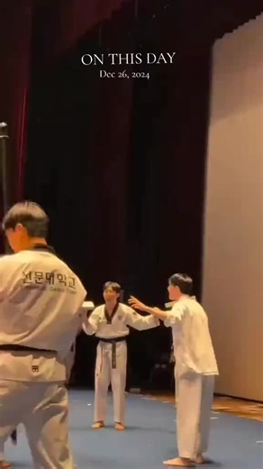 Taekwondo Kicks Showcase