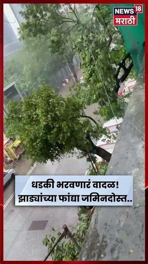 Mumbai Rain News | वरळीतील श्रीराम मिलजवळ जोरदार वाऱ्याने झाड अर्धवट तुटलं | Worli | Rain Update