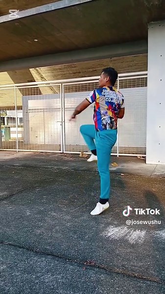 Kung Fu Estilo Mantis: Maestría en Artes Marciales