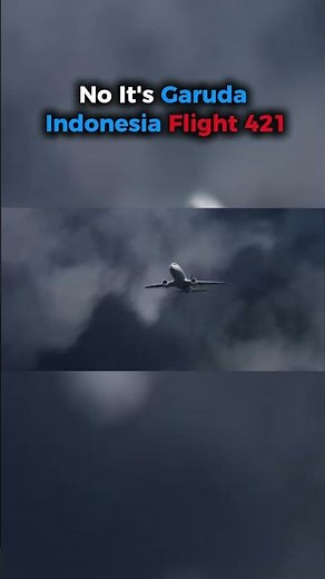 How Garuda Flight 421 survived the impossible😱✈️ #aviation #plane #shorts #airplane #viral