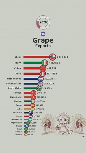 The Largest Grape Exporters | VGraphs
