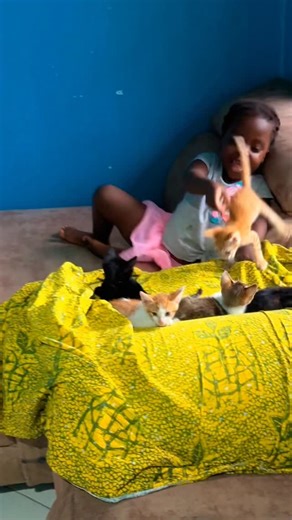 Mc Gara B on Instagram: "#Karungi got new Kittens 🐱🐱🐱🐱🤣"