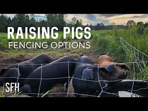 Pig Fencing Unveiled: Exploring Options, Installation, and Seasonal Transitions! 🐷🛠️