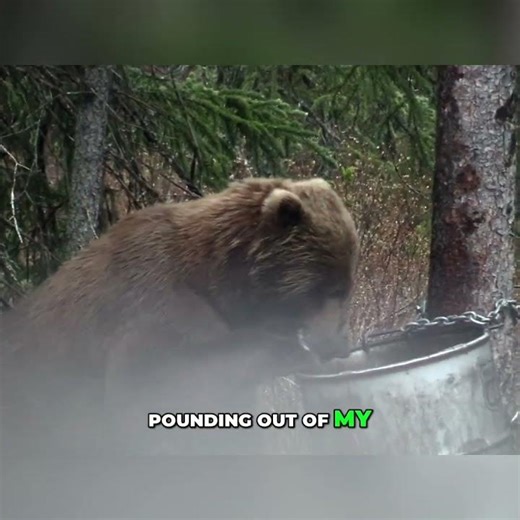 Epic Brown Bear Bow Hunt in Alaska: The BIG One finally came in! #shorts