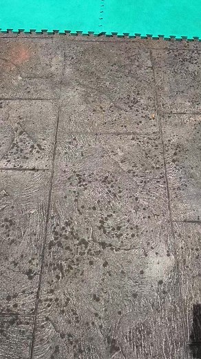 Activity Castle setup .... 3 CS party Hire 0426629395 #3cspartyhire #ferntreegully #wantrina #rowville #narrewarren | 3C'S Party Rentals