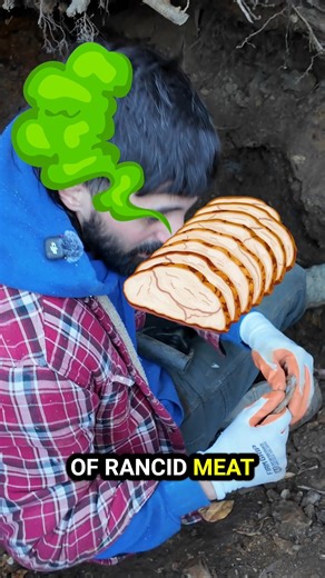 Matthew franklin on Instagram: "This Porcelain Lid Insert Saved Thousands of Lives! This small piece of porcelain doesn’t look like much but it saved thousands of lives. What you’re seeing is an early porcelain jar lid insert, used in canning long before refrigeration existed. Back then, spoiled food and contamination were serious threats. Families depended on canning to survive. Early metal lids were often made from zinc or other alloys that could leach into food. This porcelain lid insert, pai