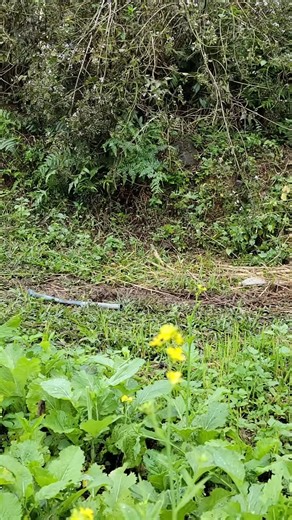 Motion Pro Studio on Reels