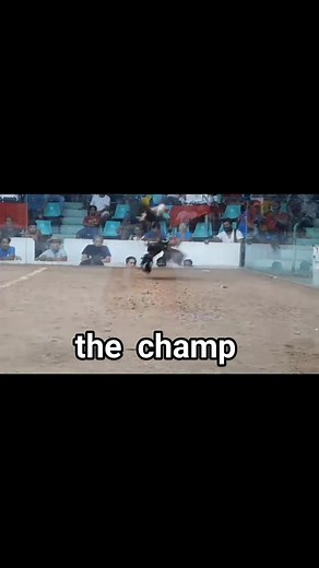 3hits solo champ. 100k boss .M. gameFARM | Lim Rommel