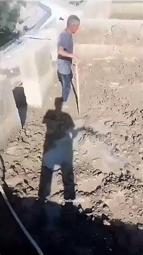 Perfectly cut screams🤣🤣🤣 #shorts #viral #meme #scream