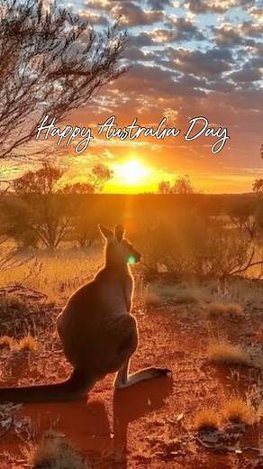 31K views · 75 reactions | HAPPY AUSTRALIA DAY 輦… MLA’s New Lamb...