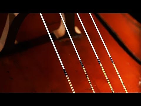 Best Cello Strings in 2025 (Tested and Reviewed)