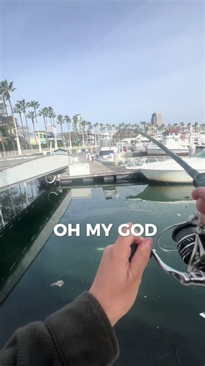 Catch My First Bonita Using Strawhat Fishing Gear