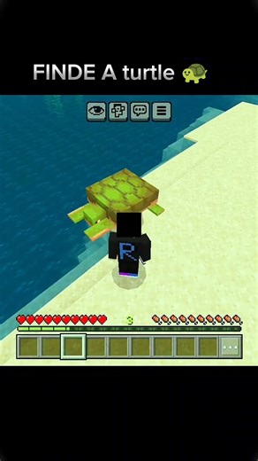 finde a turtle #mincraft