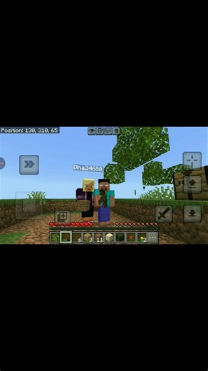 chunk layer with friend in minecraft